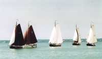 Lemster Bokkingrace 2003